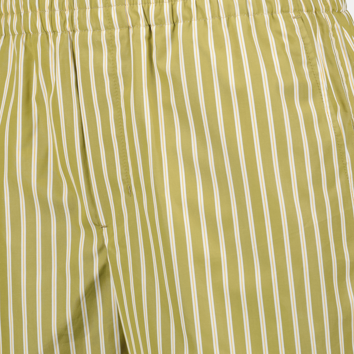 Striped Shorts